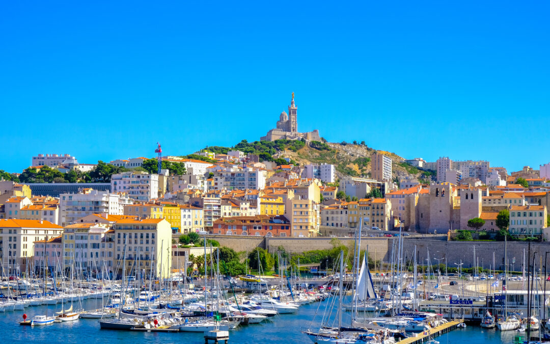 French Society of Thoracic and Cardiovascular Surgery (SFCTCV)