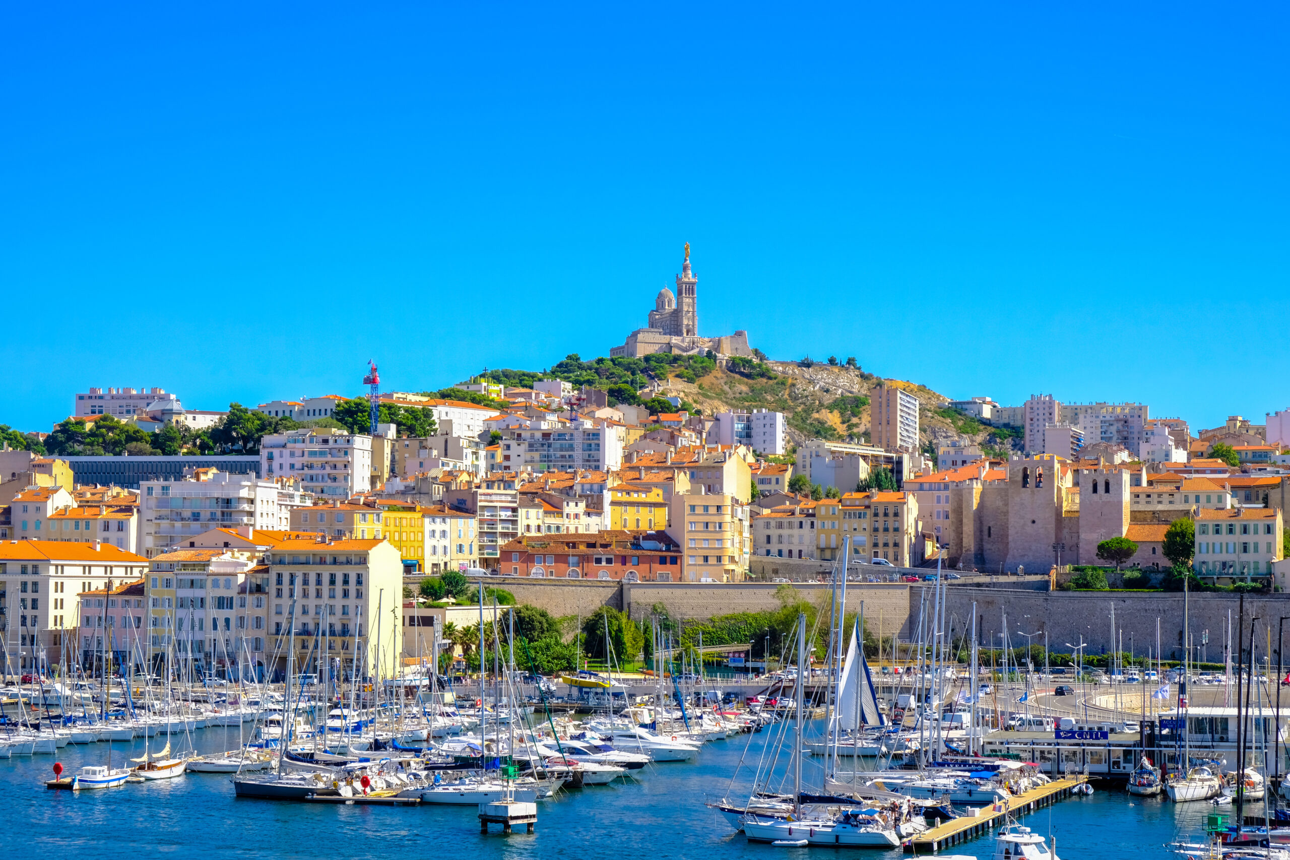 French Society of Thoracic and Cardiovascular Surgery (SFCTCV)