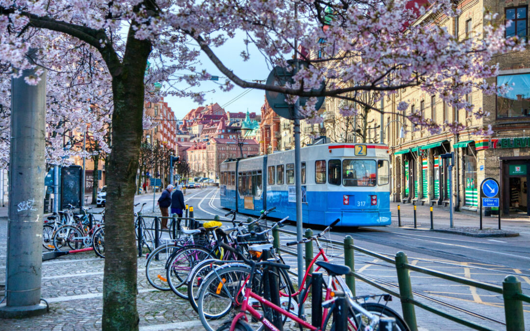 Nordic Orthopaedic Bone Infection Symposium – NOBIS 2026